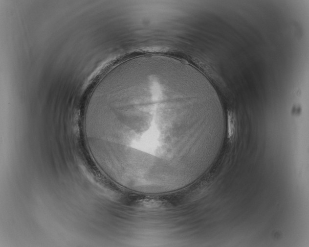 X0000114390300200911061521