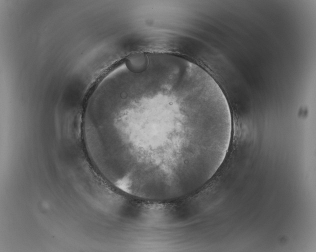 X0000114390301200911061521