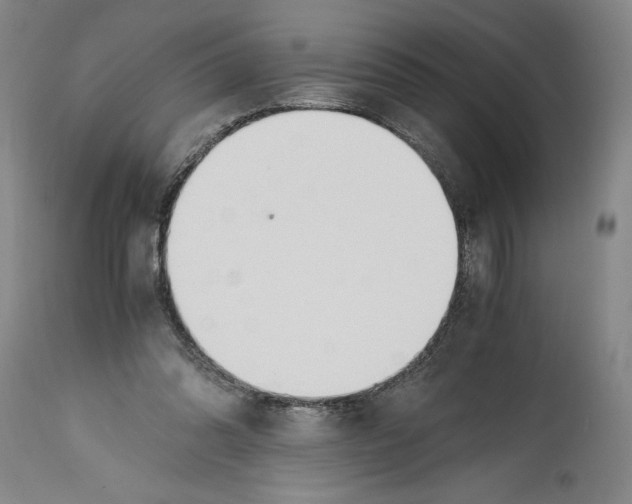 X0000114390302200911061521