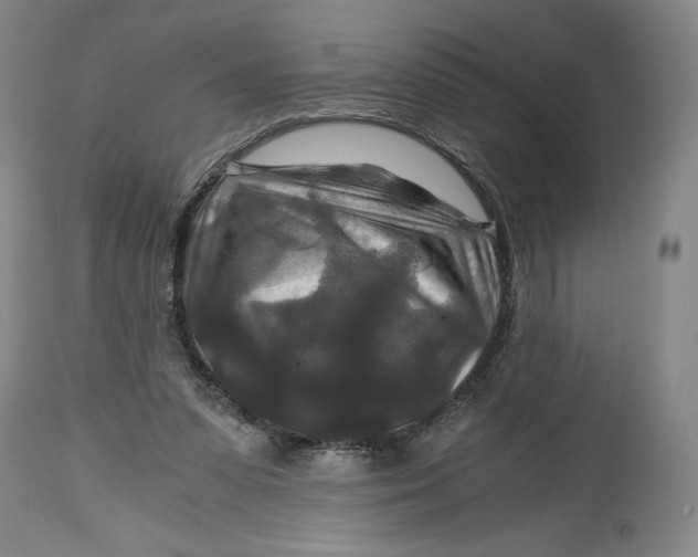 X0000114390303200911061521