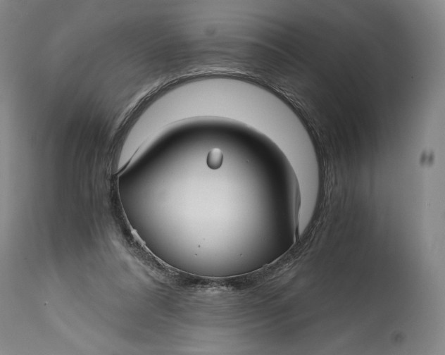 X0000114390304200911061521