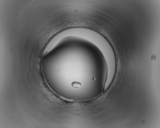 X0000114390305200911061521