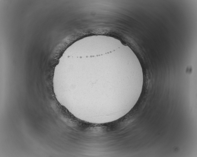X0000114390307200911061521