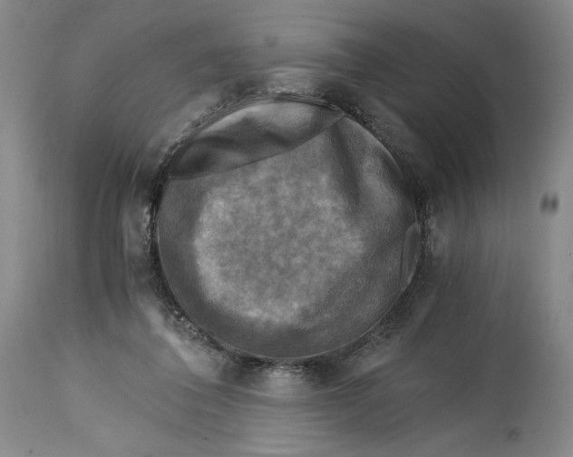 X0000114390308200911061521
