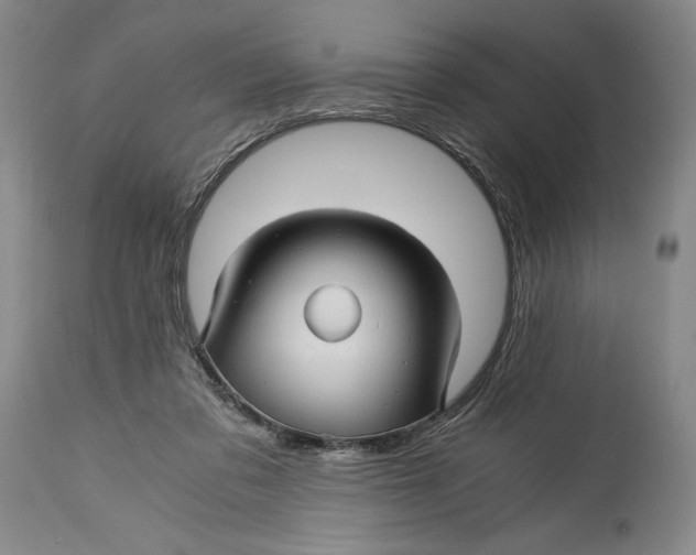 X0000114390309200911061521