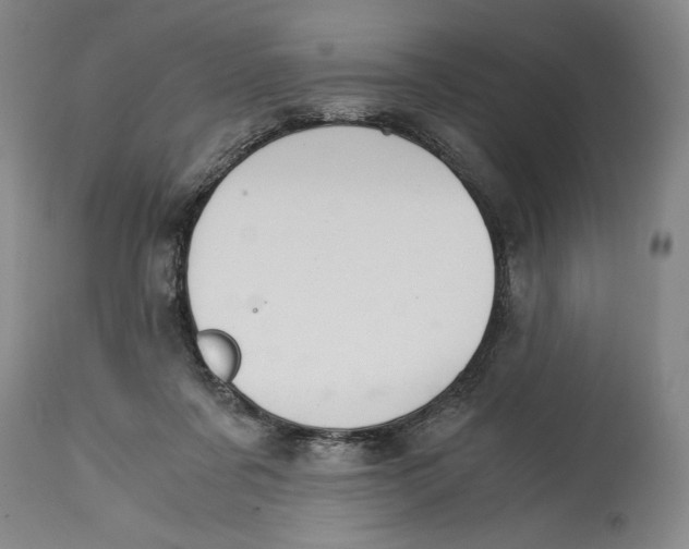 X0000114390311200911061521