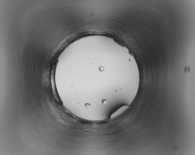X0000114390312200911061521