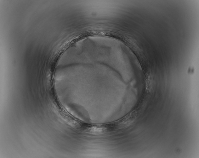 X0000114390314200911061521