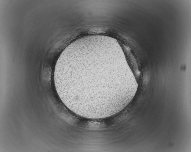 X0000114390315200911061521