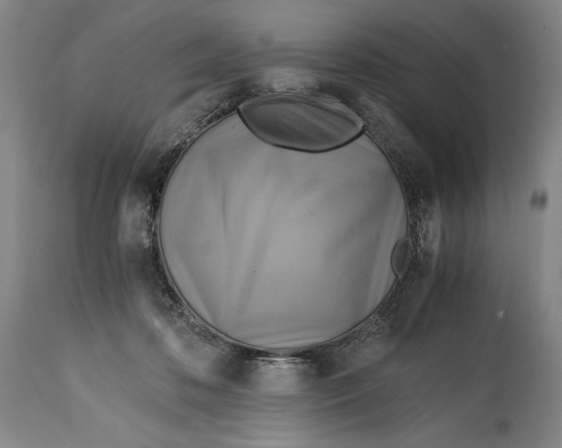 X0000114390316200911061521