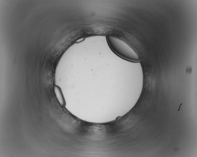 X0000114390317200911061521