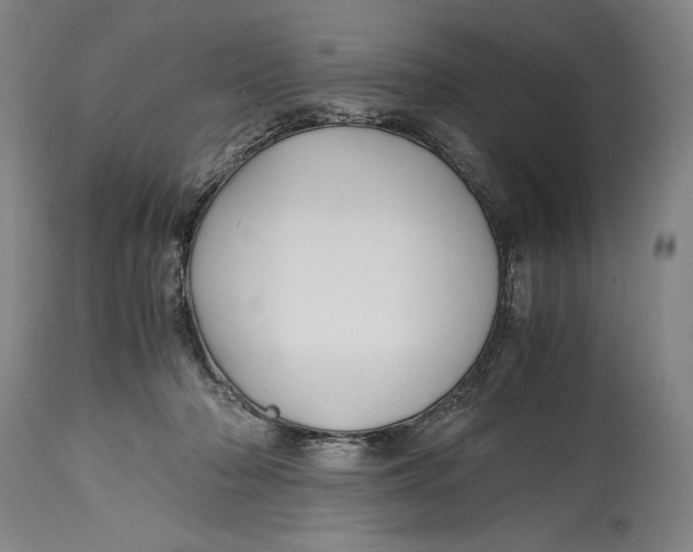 X0000114390318200911061521