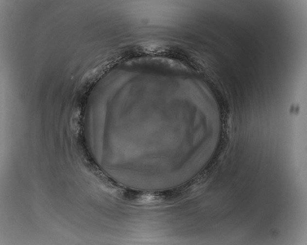 X0000114390319200911061521