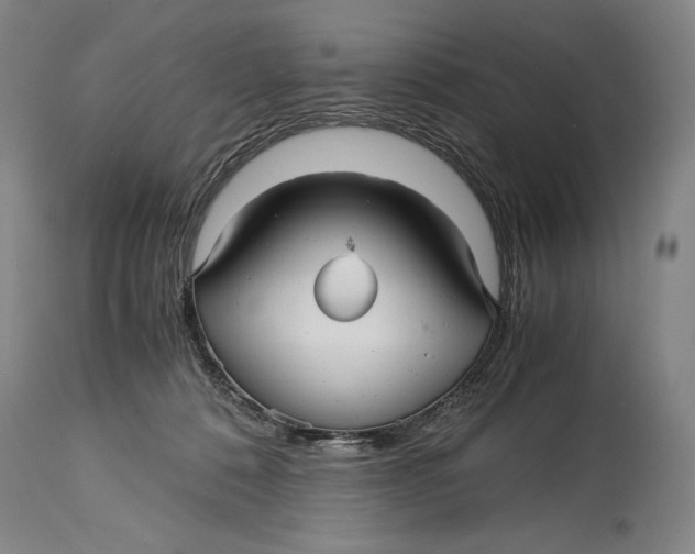 X0000114390320200911061521