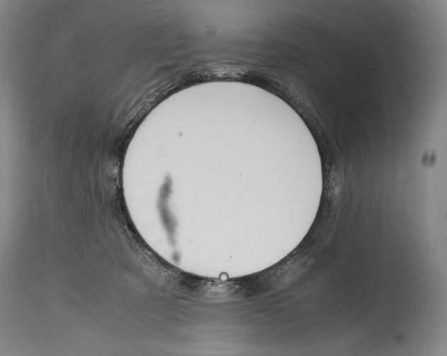X0000114390321200911061521