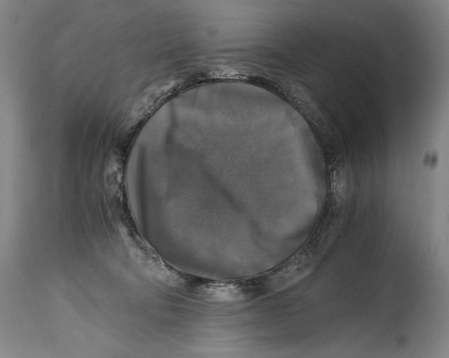 X0000114390322200911061521