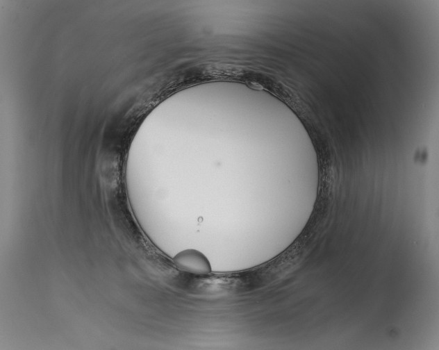 X0000114390323200911061521