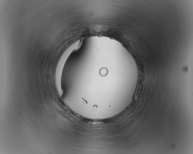 X0000114390324200911061521
