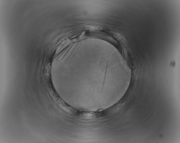X0000114390325200911061521