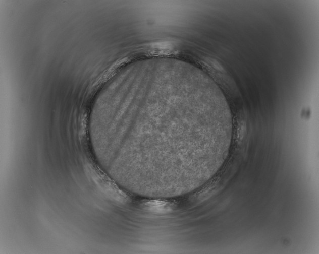 X0000114390326200911061521