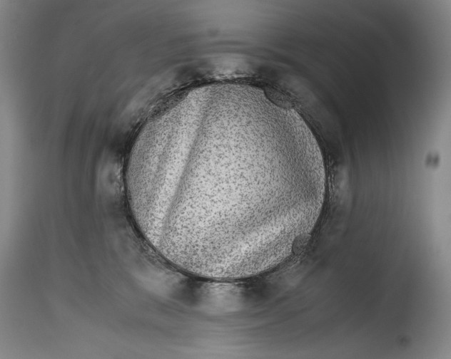 X0000114390327200911061521