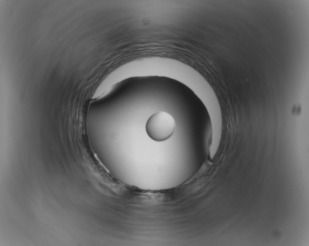 X0000114390328200911061521
