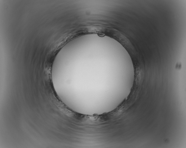 X0000114390329200911061521