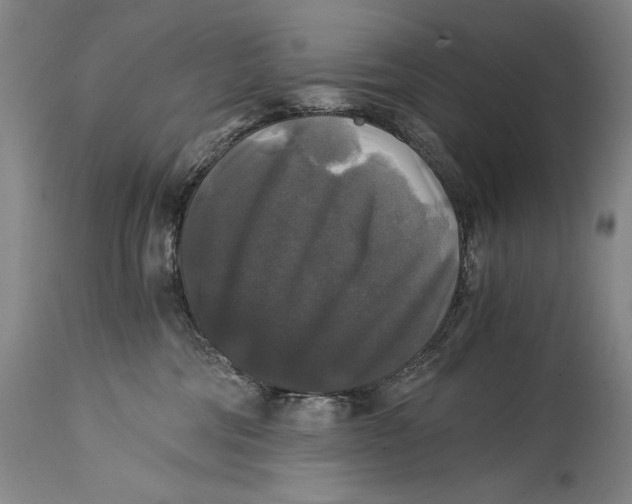 X0000114390330200911061521