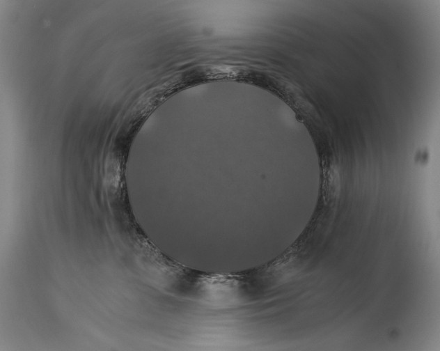 X0000114390331200911061521