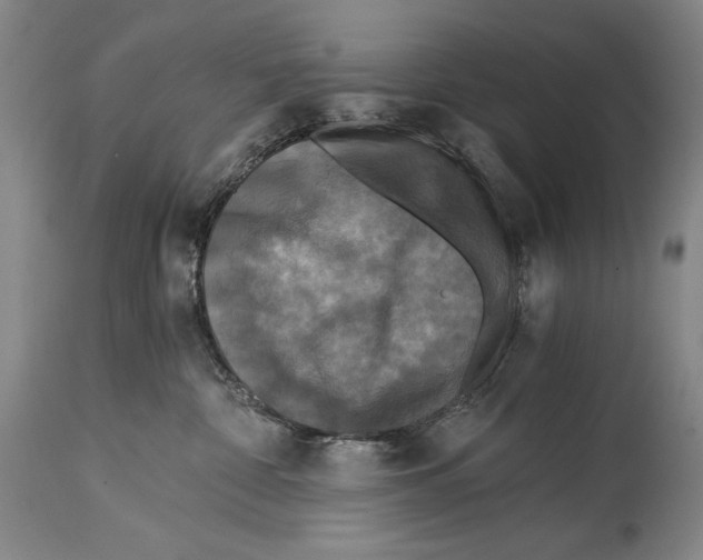 X0000114390332200911061520