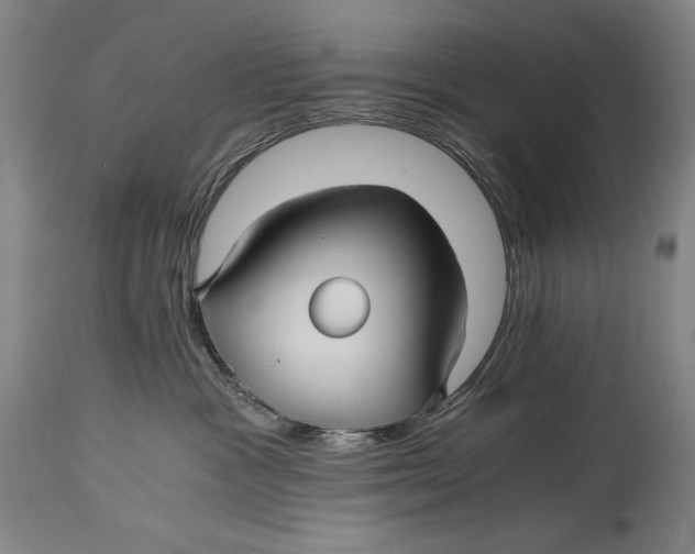 X0000114390333200911061520