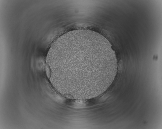 X0000114390335200911061520