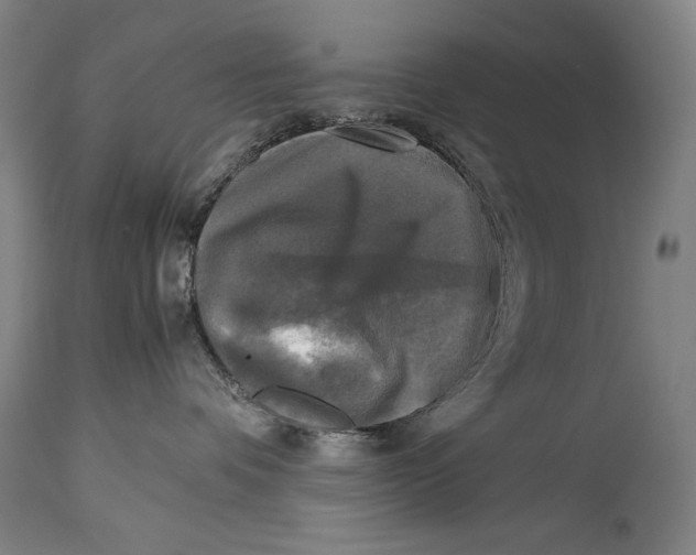 X0000114390336200911061520