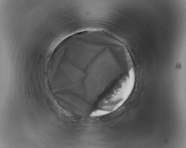 X0000114390337200911061520