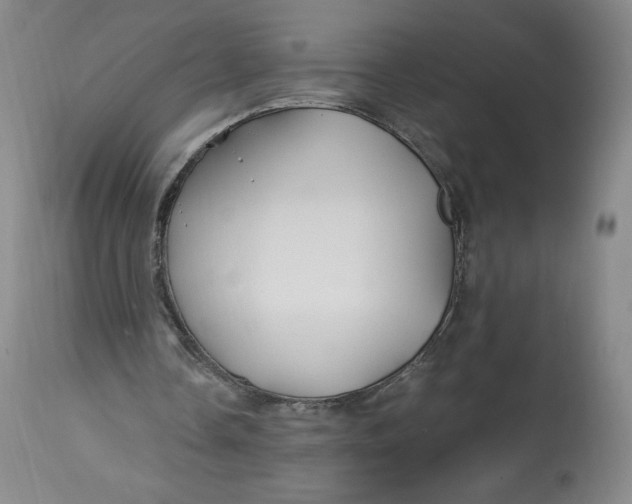 X0000114390338200911061520