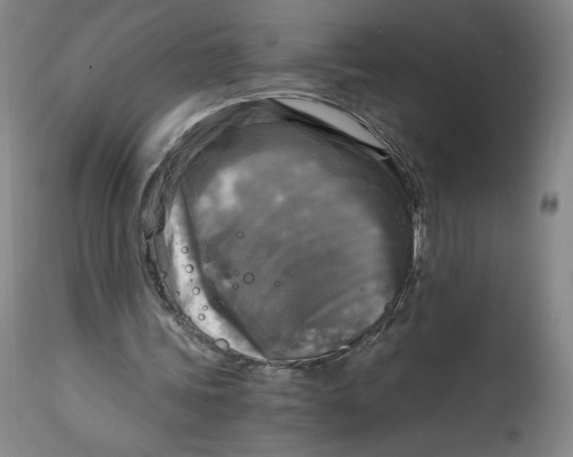 X0000114390339200911061520