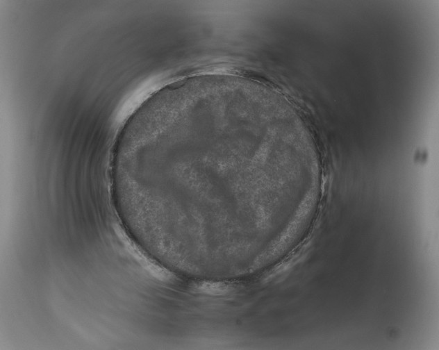 X0000114390341200911061520