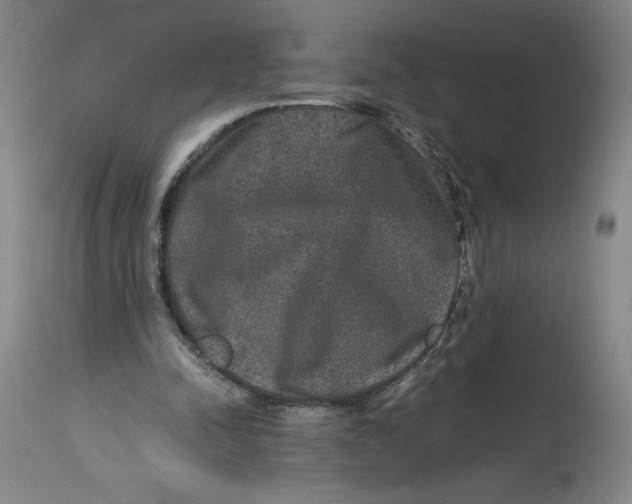 X0000114390342200911061520