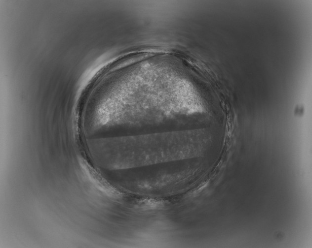 X0000114390343200911061520