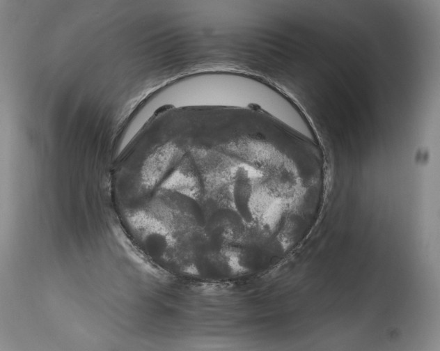 X0000114390345200911061520