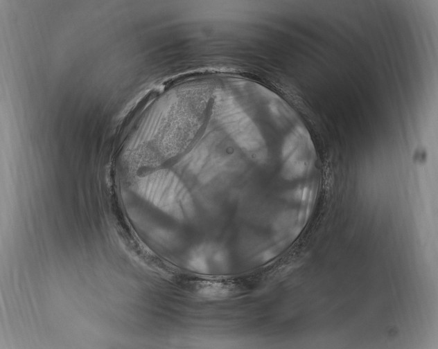 X0000114390347200911061520