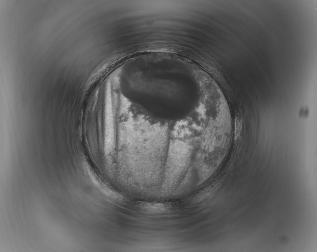 X0000114390349200911061520