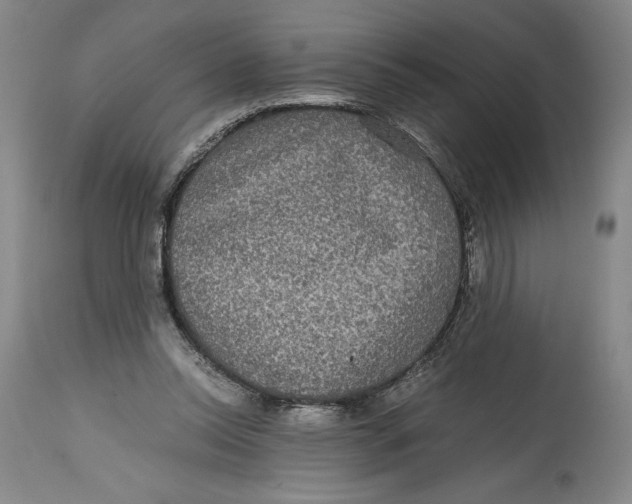 X0000114390350200911061520