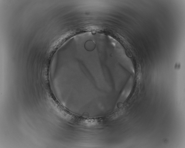 X0000114390353200911061520