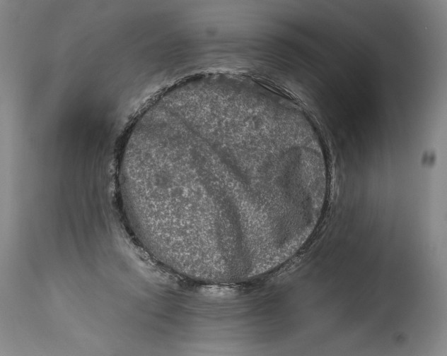X0000114390354200911061520