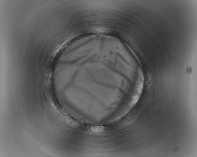 X0000114390355200911061520