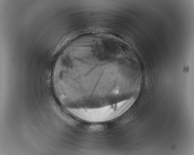 X0000114390357200911061520