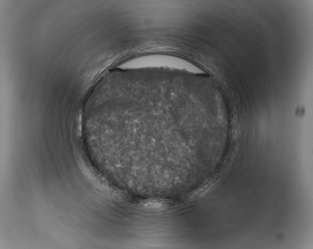 X0000114390358200911061520
