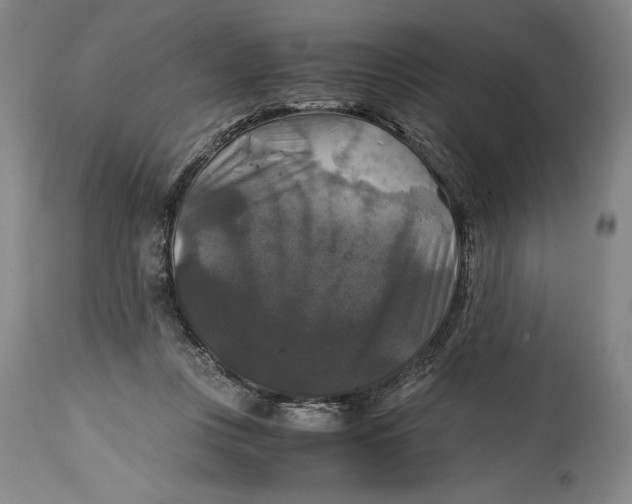 X0000114390359200911061520