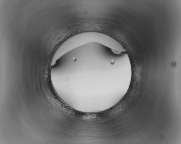 X0000114390362200911061520